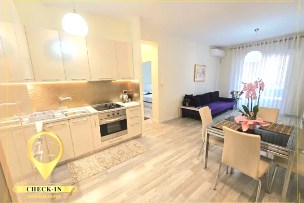 Shtepi me qera Apartament ne Tirane, 1+1, Mobilimi E mobiluar, Pagesa 550  Euro.