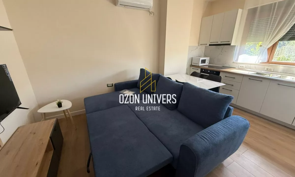 Appartamento in affitto a Tirana 1+1, Arredato