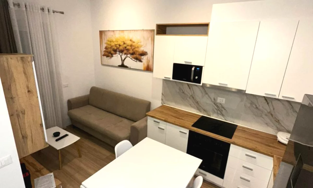 Shtepi ne shitje Apartament ne Tirane, 1+1, Mobilimi E mobiluar, Pagesa 90,000  Euro.