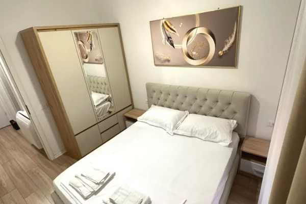 Shtepi ne shitje Apartament ne Tirane, 1+1, Mobilimi E mobiluar, Pagesa 90,000  Euro.