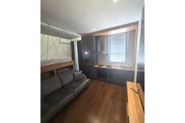 Shtepi me qera Apartament ne Tirane, Garsoniere, Mobilimi E mobiluar, Pagesa 350  Euro.