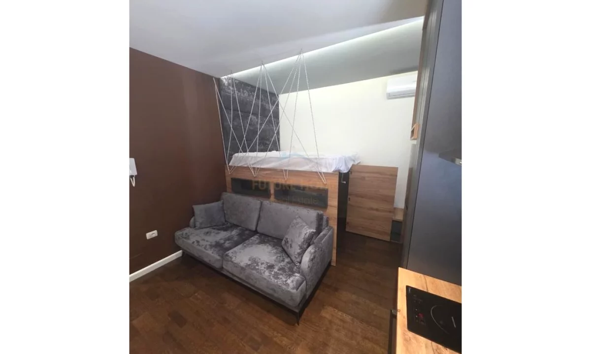 Shtepi me qera Apartament ne Tirane, Garsoniere, Mobilimi E mobiluar, Pagesa 350  Euro.