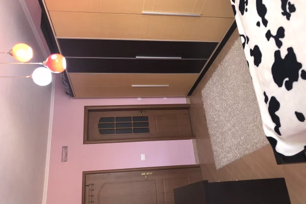 Appartamento in vendita a Tirana 2+1, Arredato