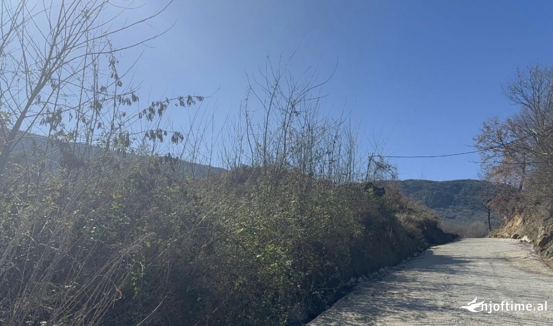 ‼️Okazion‼️Shitet 6000 m2 toke ne Berzhite, Tirane‼️