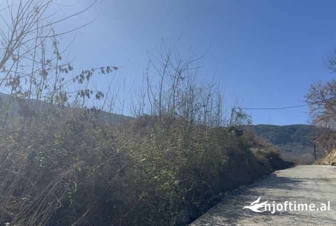 Land for Sale in Tirana - 320,000 Euro