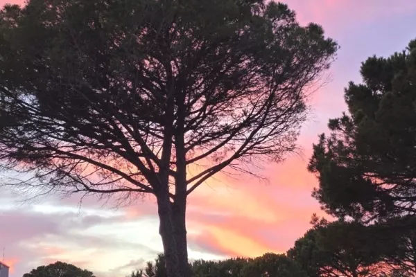 Shtepi ne shitje Vila Luksoze ne Durres, 3+1, Mobilimi E mobiluar, Pagesa 790,000  Euro.