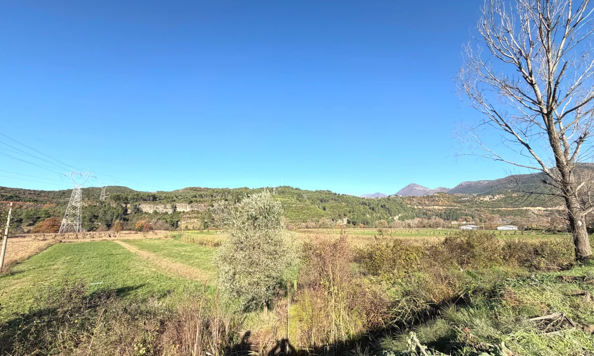 ‼️Shitet toke buze rruges kryesore ne Ibe‼️