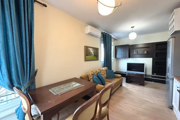 Apartment for rent in Tirana 1+1, Furnished