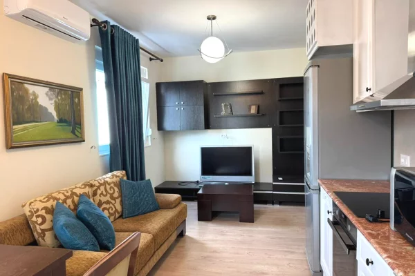 Apartment for rent in Tirana 1+1, Furnished