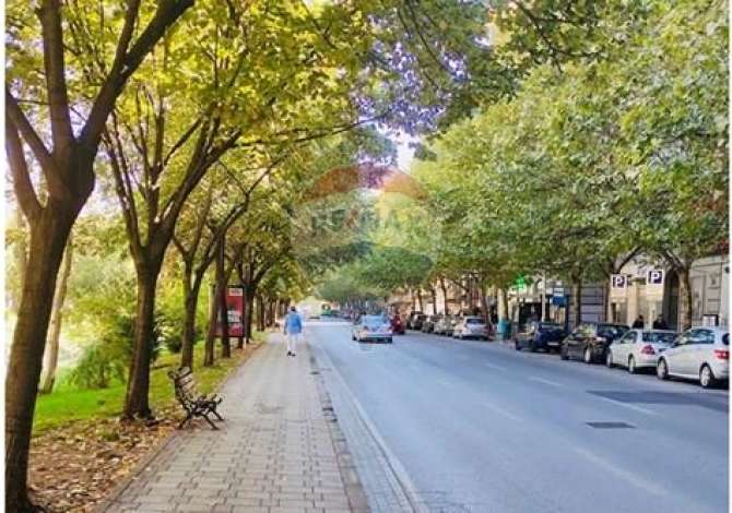 Ambient biznesi me qera 1+1 ne Tirane - 1,500 Euro