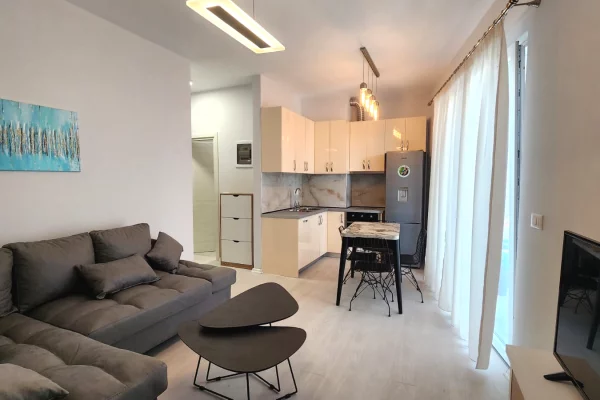 Shtepi me qera Apartament ne Tirane, 1+1, Mobilimi E mobiluar, Pagesa 580  Euro.