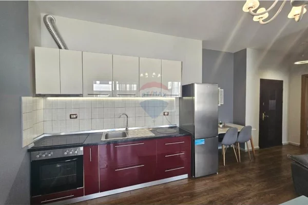 House for Rent 1+1 in Tirana - 650 Euro