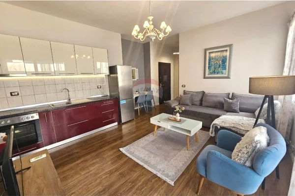 Shtepi me qera Apartament ne Tirane, 1+1, Mobilimi E mobiluar, Pagesa 650  Euro.