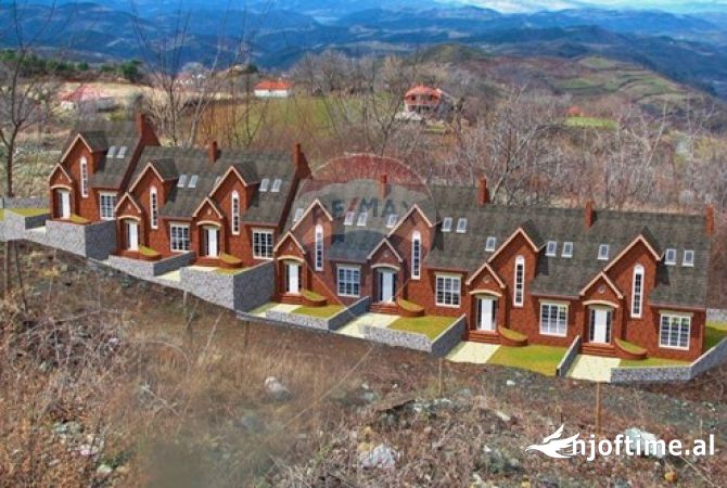 Shitet bujtine ne Elbasan