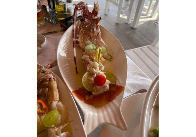 Njoftime Pune per Ndihmes Kuzhinier/e, Kamarier/e, Punetor ndihmes ne te gjitha pozicionet e punes qe sherbehen ne Restorante ose Market ne Himare