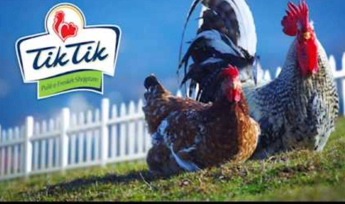 Job Offers in Tirana, Profession Agjent Shitje  , With experience, Payment By Agreement.