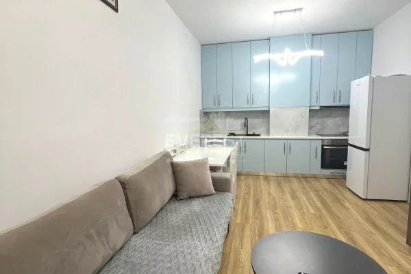 Shtepi me qera Apartament ne Tirane, 1+1, Mobilimi E mobiluar, Pagesa 60,000  Leke.