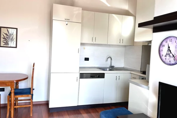 Appartamento in affitto a Tirana 1+1, Arredato