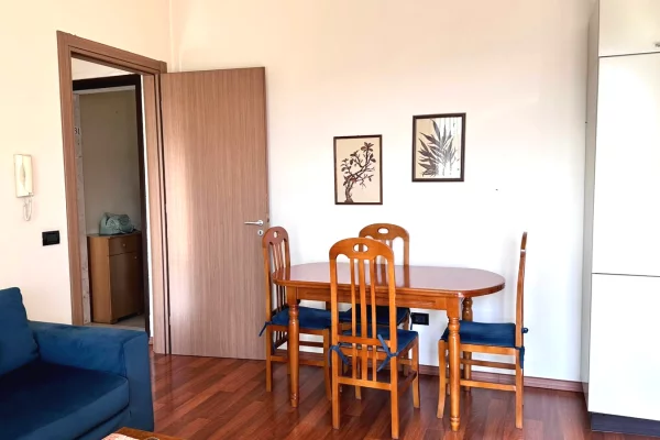 Appartamento in affitto a Tirana 1+1, Arredato