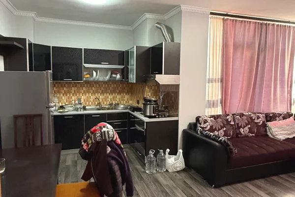 Shtepi me qera Apartament ne Tirane, 1+1, Mobilimi E mobiluar, Pagesa 450  Euro.