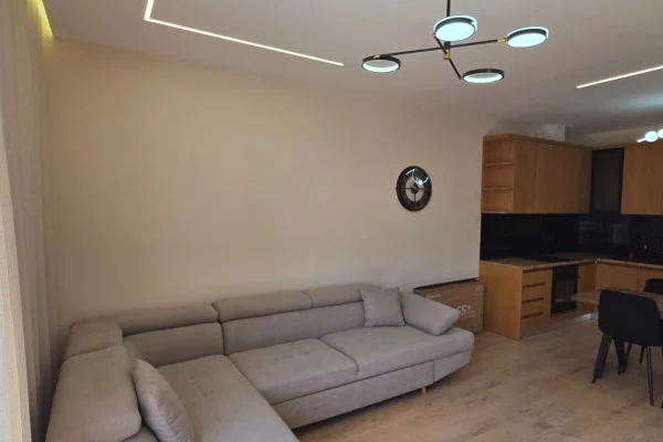 Apartment for rent in Tirana 1+1, Furnished