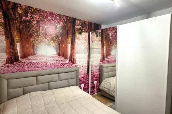 Apartment for rent in Tirana 1+1, Furnished