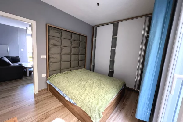 Shtepi ne shitje Apartament ne Tirane, 1+1, Mobilimi E mobiluar, Pagesa 80,000  Euro.