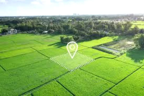 Truall ose Toke ne Tirane - 150,000 Euro