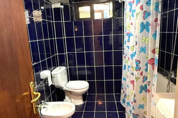 Shtepi me qera Apartament ne Tirane, 1+1, Mobilimi E mobiluar, Pagesa 500  Euro.