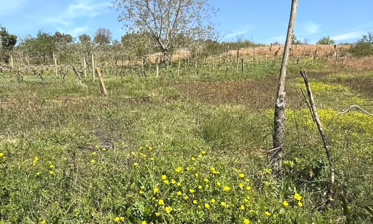 Shitet, Toke ,Lunder, Tirane - 400000Euro | 2714 m2