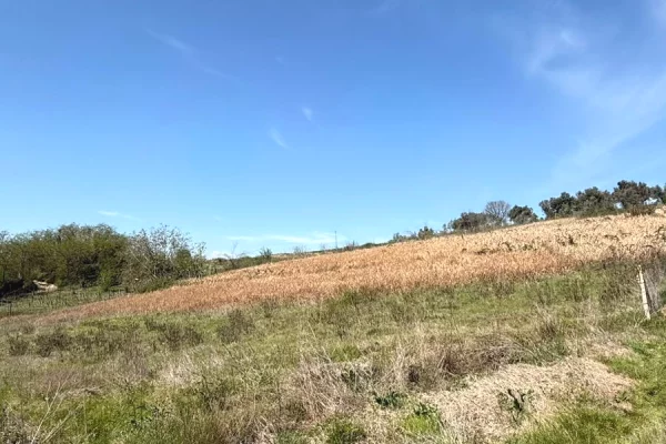 Truall ose Toke ne Tirane - 400,000 Euro