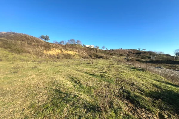 Truall ose Toke ne Tirane - 210,000 Euro