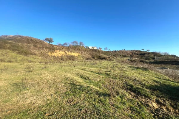 Truall ose Toke ne Tirane - 210,000 Euro