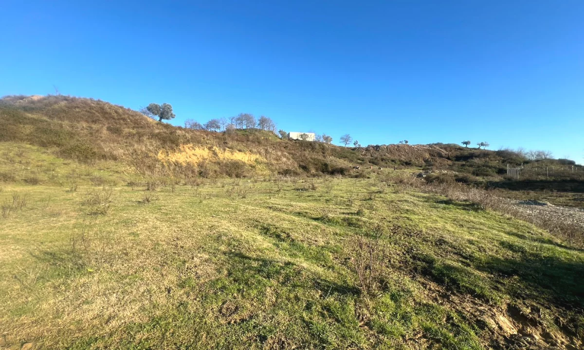 Shitet, Toke , Yzberish, Tirane - 210000Euro | 3000 m2