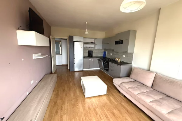 Shtepi ne shitje Apartament ne Tirane, 2+1, Mobilimi E mobiluar, Pagesa 130,000  Euro.