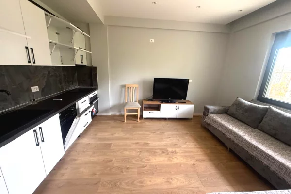 Shtepi me qera Apartament ne Tirane, 1+1, Mobilimi E mobiluar, Pagesa 35,000  Leke.