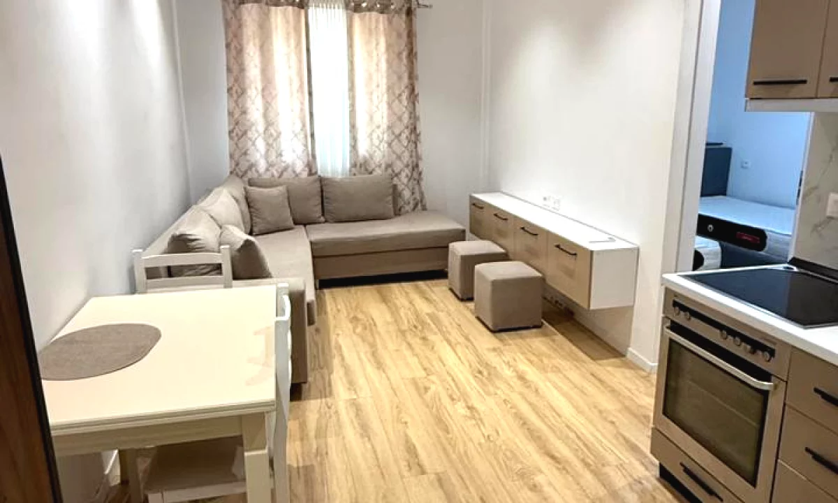Shtepi me qera Apartament ne Tirane, 1+1, Mobilimi E mobiluar, Pagesa 300  Euro.