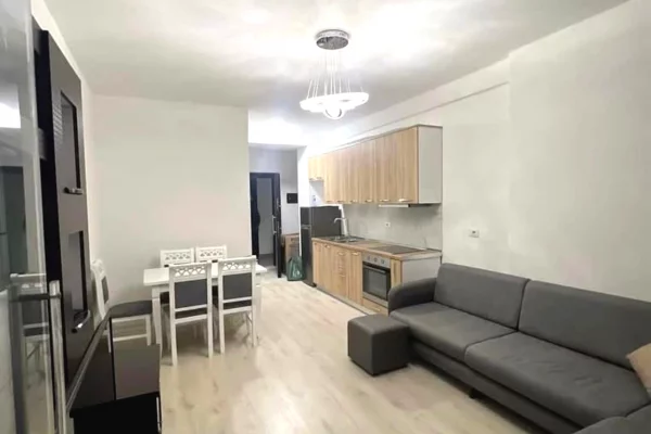 Shtepi me qera Apartament ne Tirane, 1+1, Mobilimi E mobiluar, Pagesa 500  Euro.