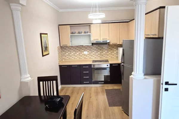 Shtepi me qera 1+1 ne Tirane - 80,000 Leke