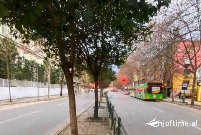 Business Property in Sale 1+1 in Tirana - 90,000 Euro