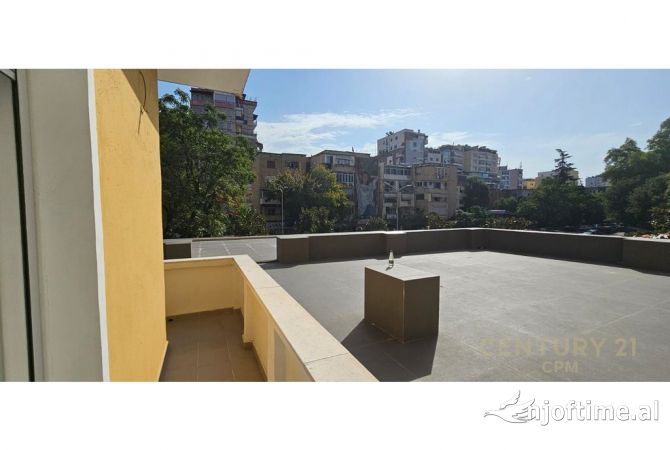 Zyre Per Qira Tek Stadiumi Dinamo!