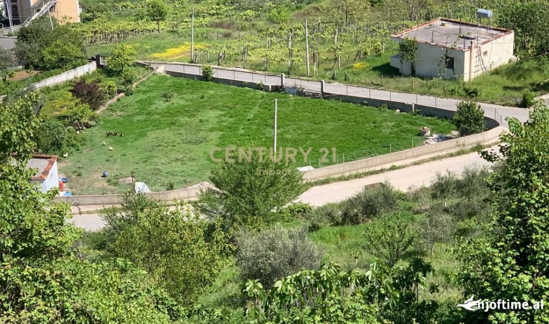 SHESIM TOKE NE KASHAR PRANE MOBILERI AJAX  56,000 Euro!