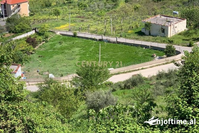 SHESIM TOKE NE KASHAR PRANE MOBILERI AJAX  56,000 €!