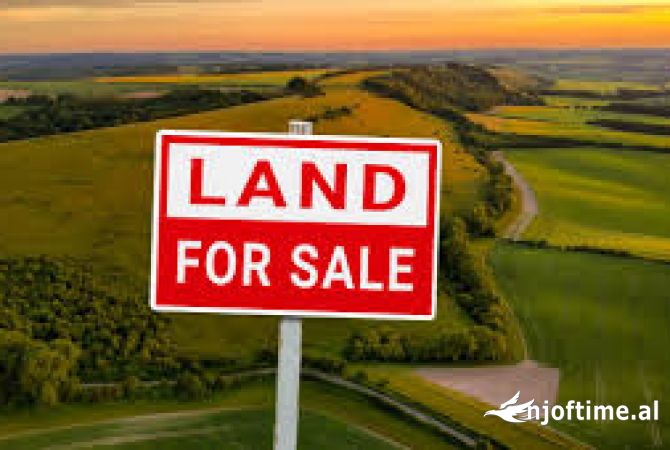 💥RINAS , TOKE NE SHITJE💥