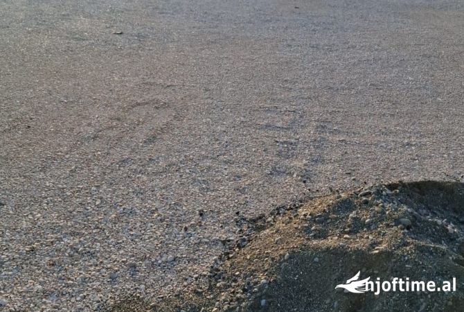 Jepet me qera kapanon ne Kamez                