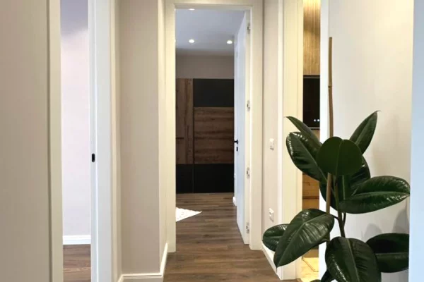 Shtepi me qera Apartament ne Tirane, 2+1, Mobilimi E mobiluar, Pagesa 1,100  Euro.