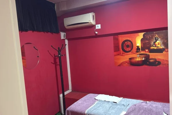 Business Property for Rent 3+1 in Tirana - 599 Euro