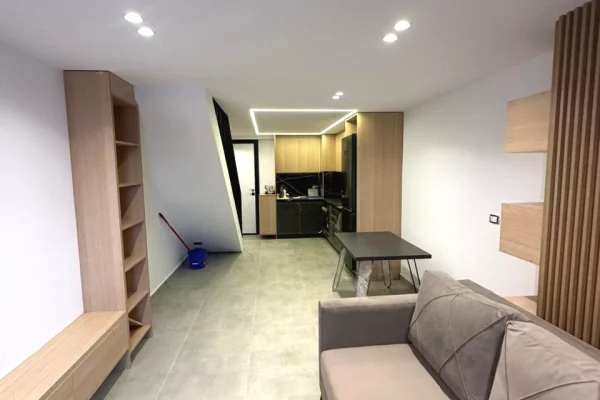 Shtepi ne shitje Apartament ne Tirane, 1+1, Mobilimi E mobiluar, Pagesa 119,000  Euro.