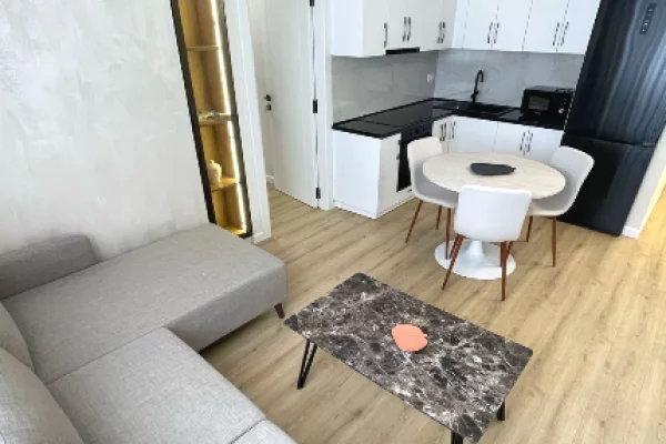 Shtepi me qera Apartament ne Tirane, 1+1, Mobilimi E mobiluar, Pagesa 600  Euro.
