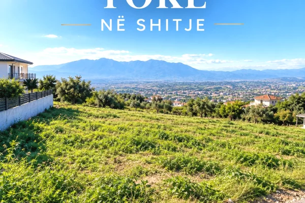 Truall ose Toke ne Tirane - 33,000,000 Leke